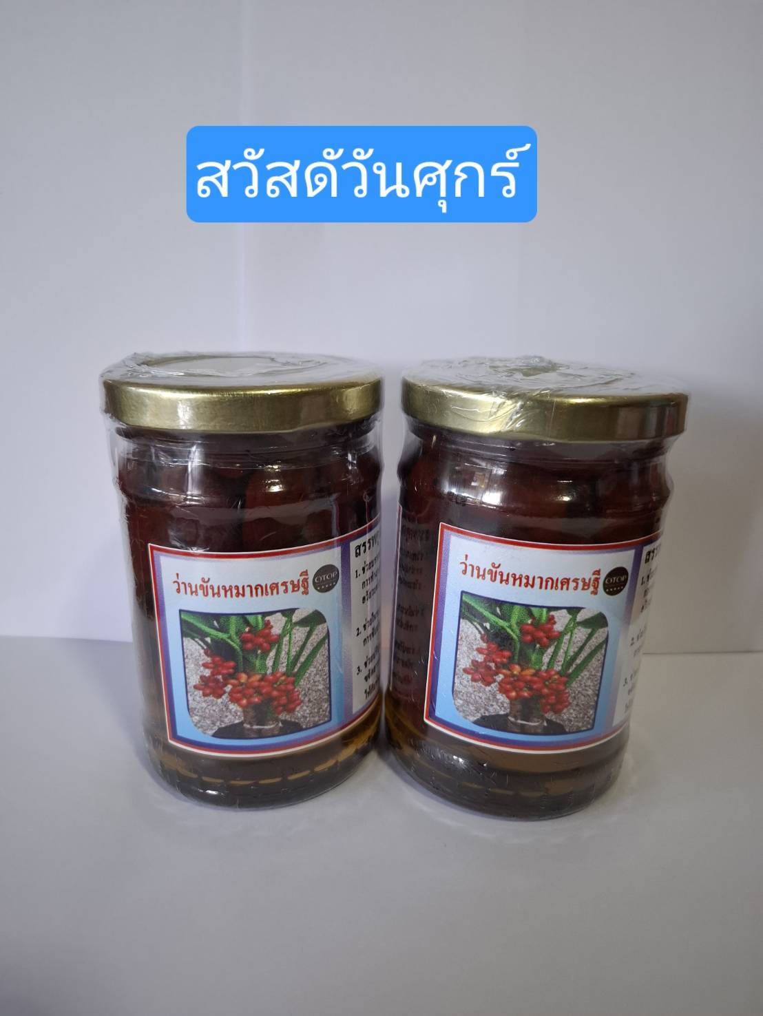 ว่านขันหมากเศรษฐี ขนาดพรีเมียม (1 ขวด)
